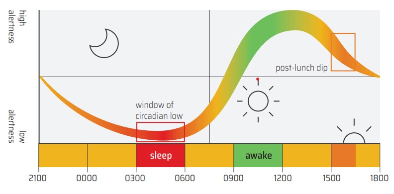 Figure 1: Circadian rhythm.