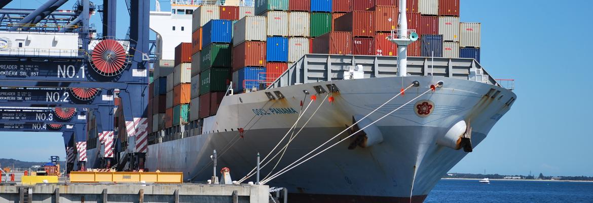 a bulk carrier at a dock