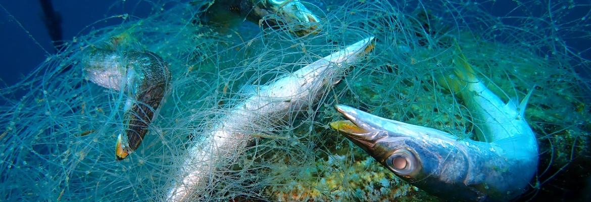 Ghost fishing store