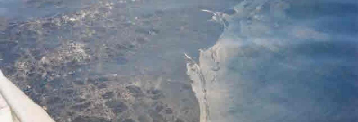 Image showing a close-up of an oil slick on the surface of the water