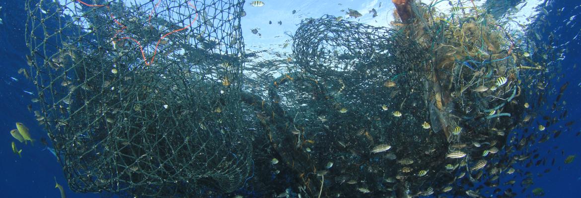 Fishing net floating in ocean