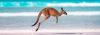 A kangaroo bouncing along the beach